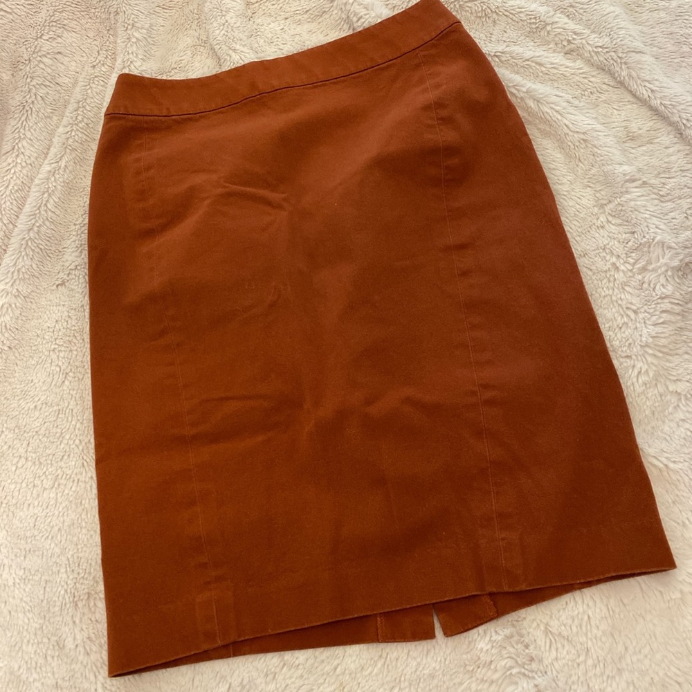 Ann Taylor Vintage Pencil Skirt
